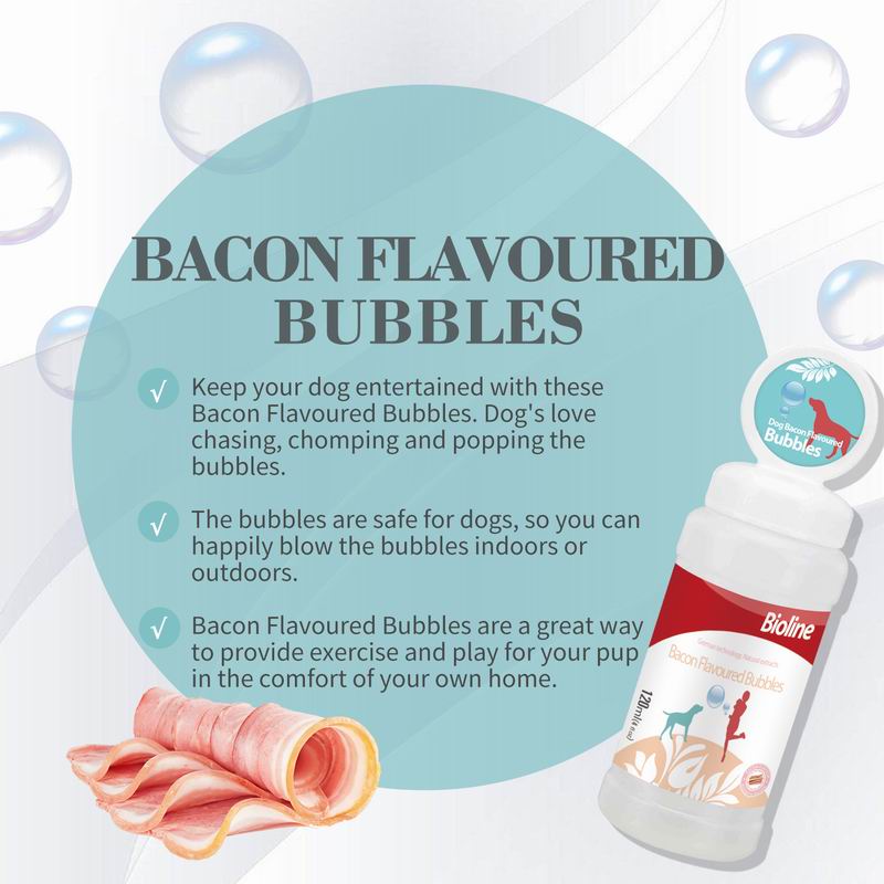 Bacon Flavored Dog Bubbles – Safe & Fun Playtime